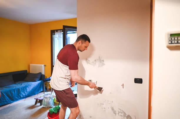 Mold Testing and Removal in La Grange, IL